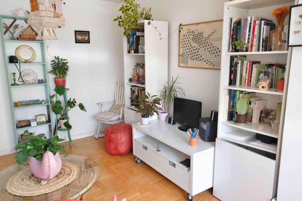 Piso Centrico, Bonito, Acogedor, Aire Acondicionado Y Piscina Enfrente De Casa מדריד מראה חיצוני תמונה